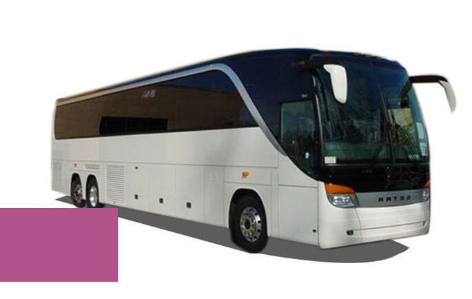 Levně Autolak ve spreji Setra BUS 3405045 PINK kvalita autolaku Profesionální (2K)