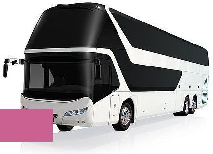 Levně Autolak ve spreji Neoplan BUS 100-599 ERIKAVIOLETT kvalita autolaku Profesionální (2K)