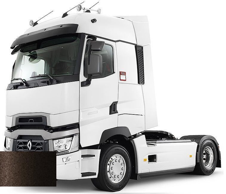 Levně Autolak ve spreji Renault Truck 2124 TETE DE NEGRE