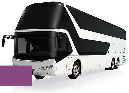 Levně Autolak ve spreji Neoplan BUS 100-721 SIGNALVIOLETT kvalita autolaku Profesionální (2K)