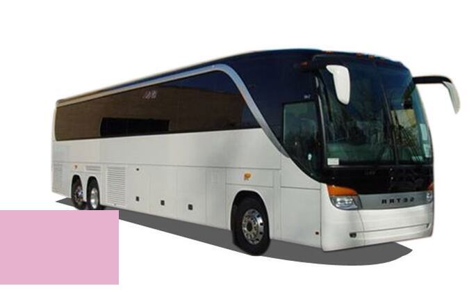 Levně Autolak ve spreji Setra BUS KS203 PASTELL HIMBEERROT kvalita autolaku Profesionální (2K)